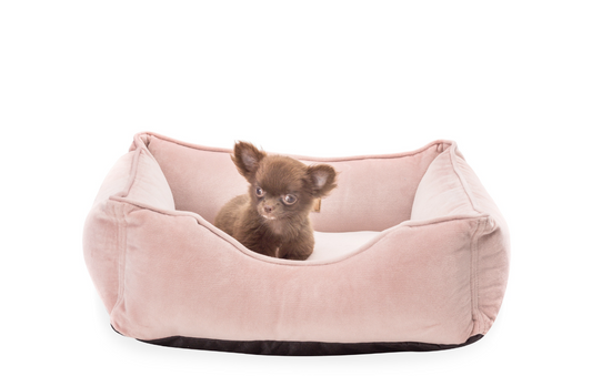 Лежак Dreamer Velur