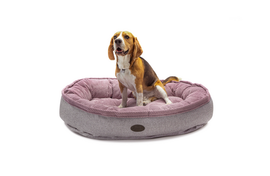 Овальний лежак Donut Soft Touch