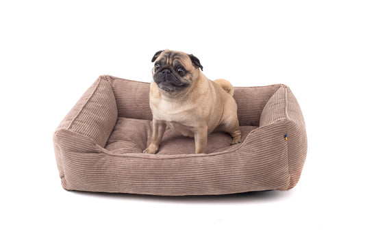 Лежак Dreamer Velvet